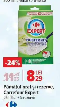 Carrefour Pămătuf praf și rezerve, Carrefour Expert Ofertă