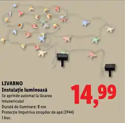 Lidl LIVARNO Instalație luminoasă Ofertă