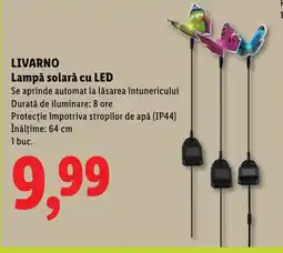Lidl LIVARNO Lampă solară cu LED Ofertă