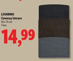 Lidl LIVARNO Covoras intrare Ofertă