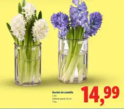 Lidl Buchet de zambile Ofertă
