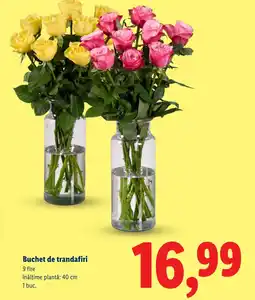 Lidl Buchet de trandafiri Ofertă