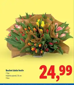 Lidl Buchet lalele festiv Ofertă