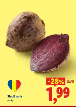 Lidl Sfeclă roșie Ofertă