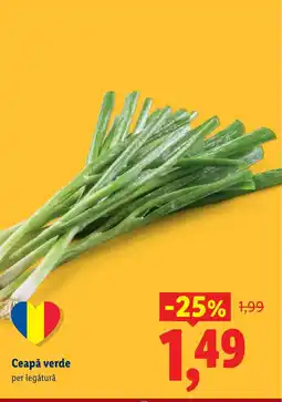 Lidl Ceapă verde Ofertă