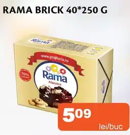 Unicarm Rama brick Ofertă