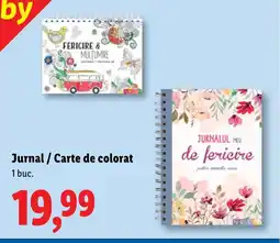 Lidl Jurnal/Carte de colorat Ofertă