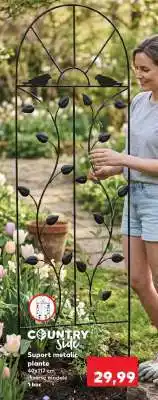 Kaufland Suport metalic plante Ofertă