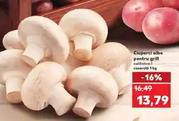 Kaufland Ciuperci albe pentru grill Ofertă