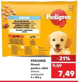 Kaufland PEDIGREE Hrană pentru câini Ofertă