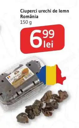 Supeco Ciuperci urechi de lemn România Ofertă