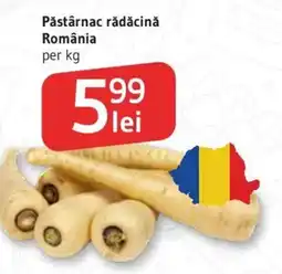 Supeco Pǎstârnac rădăcină România Ofertă