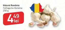 Supeco Usturoi România Ofertă