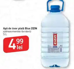 Supeco Apă de izvor platǎ Blue ZIZIN Ofertă
