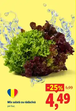 Lidl Mix salată cu rădăcină Ofertă