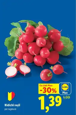 Lidl Ridichi roşii Ofertă
