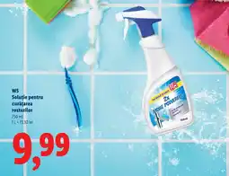 Lidl W5 Soluţie pentru curăţarea rosturilor Ofertă