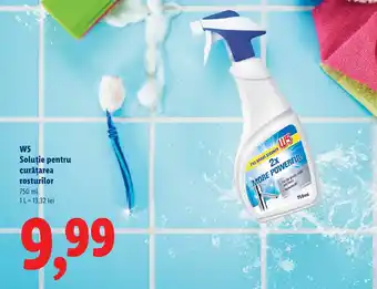 Lidl W5 Soluţie pentru curăţarea rosturilor Ofertă