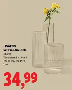 Lidl LIVARNO Set vaze din sticlă Ofertă
