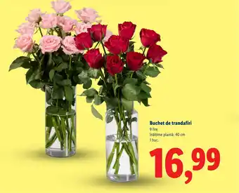 Lidl Buchet de trandafiri Ofertă