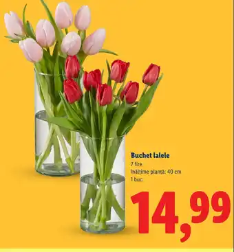 Lidl Buchet lalele Ofertă