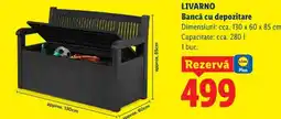 Lidl LIVARNO Bancă cu depozitare Ofertă