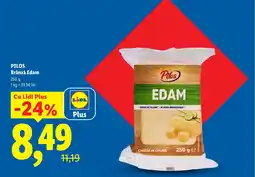 Lidl PILOS Brânză Edam Ofertă