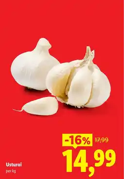 Lidl Usturoi Ofertă