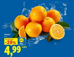 Lidl Portocale Ofertă