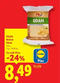 Lidl PILOS Brânză Edam Ofertă
