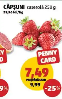 Penny Căpşuni Ofertă