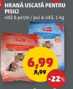 Penny Hrană uscată pentru pisici Ofertă