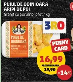 Penny PUIUL DE ODINIOARĂ ARIPI DE PUI Ofertă