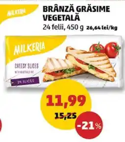 Penny Brânză Grăsime Vegetală Ofertă
