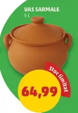 Penny VAS SARMALE Ofertă