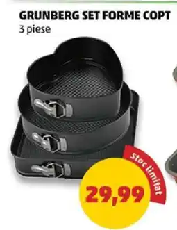 Penny GRUNBERG SET FORME COPT Ofertă