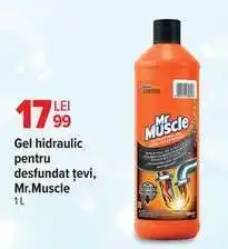 Carrefour Mr. Muscle Gel Ofertă