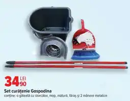 Carrefour Set curățenie “Gospodina” Ofertă