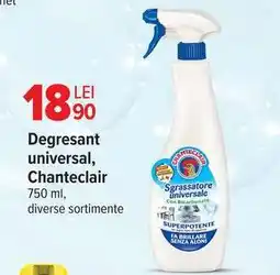 Carrefour Degresant universal Chanteclair Ofertă