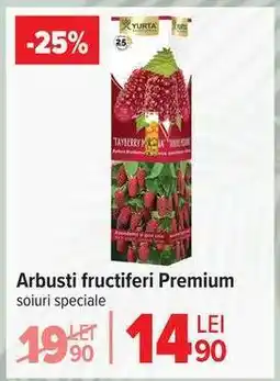 Carrefour Arbuști fructiferi Premium Ofertă