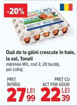 Carrefour Ouă de la găini crescute în hale, la sol, Toneli Ofertă