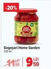 Carrefour Gogoșari Home Garden Ofertă