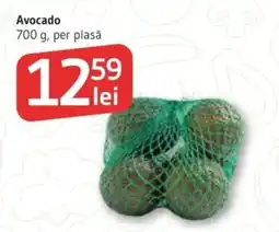 Supeco Avocado Ofertă