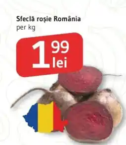 Supeco Sfeclă roşie România Ofertă