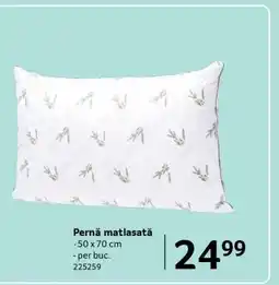 Selgros Pernă matlasată Ofertă