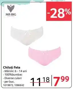 Selgros Chiloți fete Ofertă