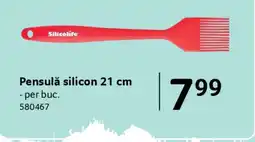 Selgros Pensulă silicon 21 cm Ofertă