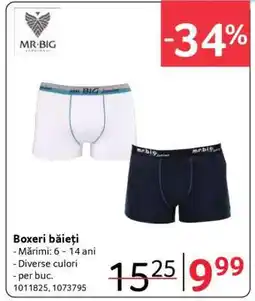 Selgros Boxeri băieți Ofertă