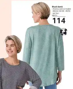 Selgros Bluză damă Ofertă