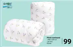 Selgros Pilotă matlasată Ofertă